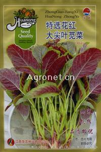 花红大尖叶—苋菜种子 