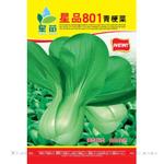 批发蔬菜种子星品801青梗菜种子上海青种子杂交高产50克