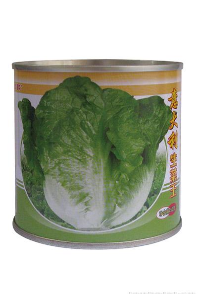 意大利生菜