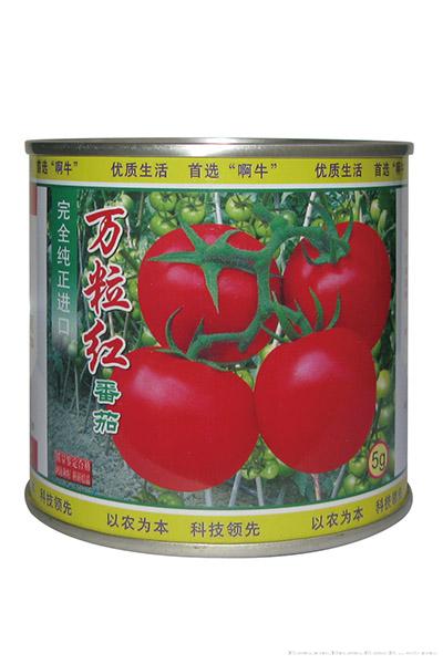 万粒红