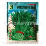 批发蔬菜种子台湾竹叶空心菜种子通心菜种子高产多次采收不变形