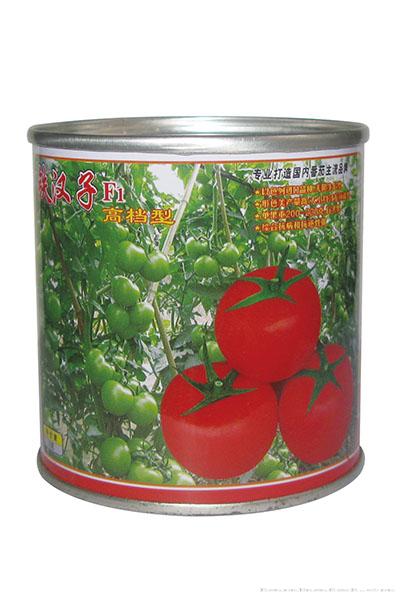 铁汉子F1