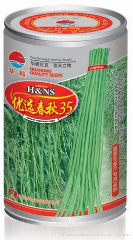 青豇909—豇豆种子 