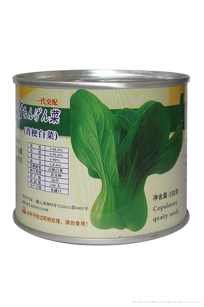 上帝