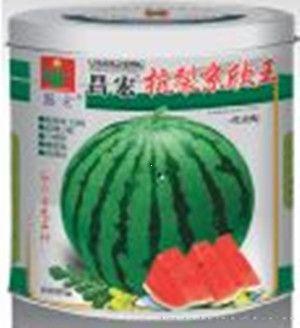 昌宏抗裂京欣王—西瓜种子 