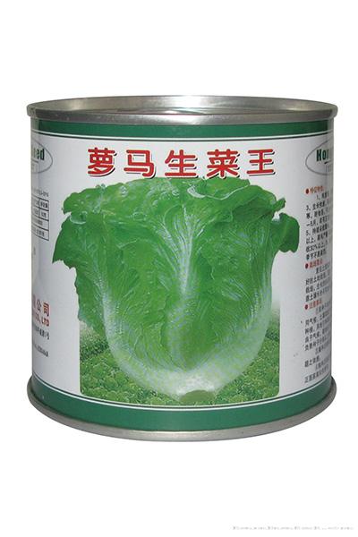 罗马生菜