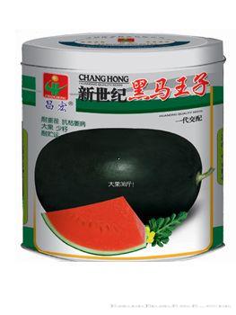 新世纪黑马王子—西瓜种子