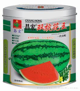 双抗花王—西瓜种子