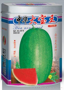 中华大宝王—西瓜种子 