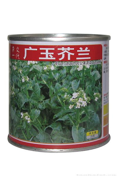 广玉芥兰（25克）