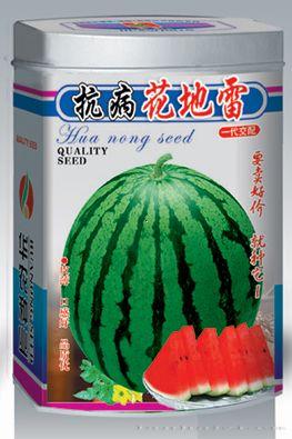西瓜种子-抗病花地雷 