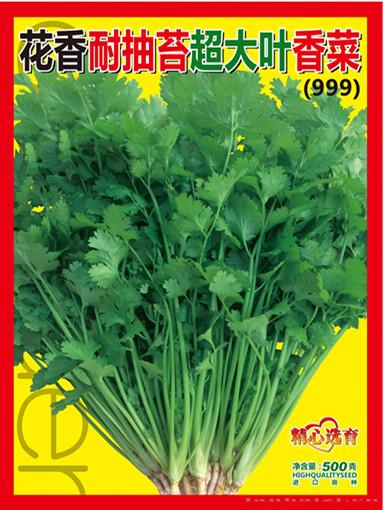 花香香菜（999