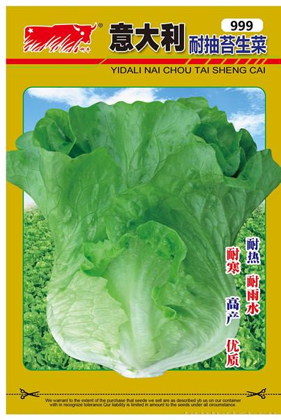 意大利生菜（999）