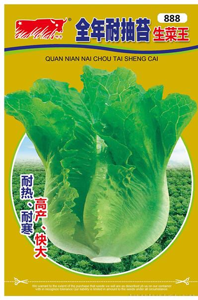 意大利生菜（888）
