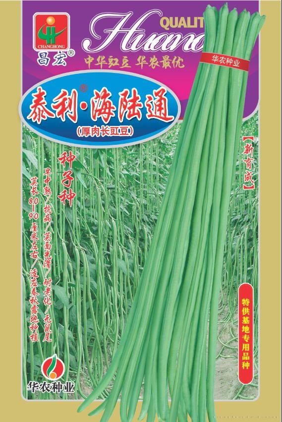 泰利•海陆通—豇豆种子 