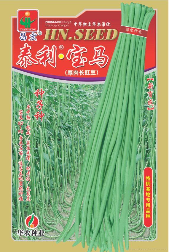 泰利•宝马—豇豆种子 