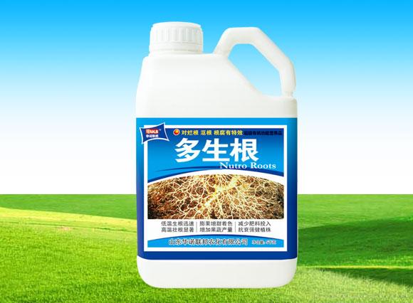 多生根