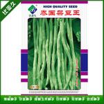 泰国无筋架豆王种子专用四季豆种子
