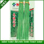 翠绿豇豆种子(春暖花开) 高产早熟长豇豆种子