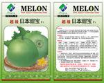 甜宝绿皮绿肉早熟甜瓜种子