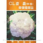批发供应进口蔬菜种子庆农65日青梗松花花椰菜种子高产花菜种子