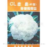 批发原装进口台湾蔬菜种子 庆农花椰菜种子青梗松花45天花菜种子