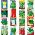 大量批发蔬菜种子大彩包盆栽四季家庭阳台种植小菜园10克品质保障