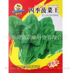 批发供应蔬菜种子 大叶菠菜种子 耐寒易种 家庭阳台蔬菜种子