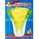 批发蔬菜种子 北京小杂56白菜种子 家庭阳台蔬菜种子 夏秋播