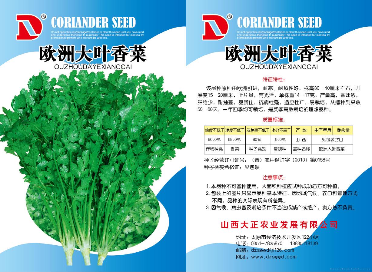 供应欧洲大叶香菜—香菜种子