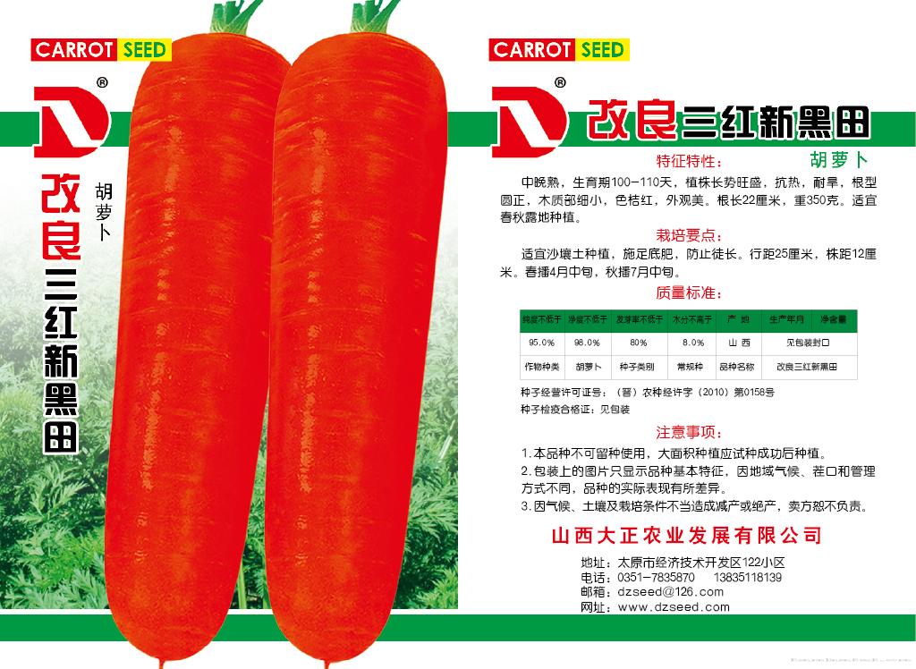 供应改良三红新黑田—胡萝卜种子