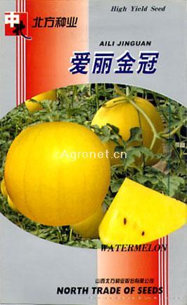供应爱丽金冠—甜瓜种子