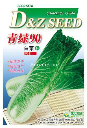 供应青绿90—白菜种子