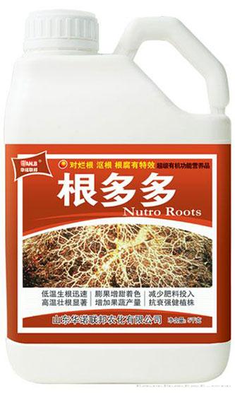 根多多
