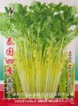 发供应蔬菜种子泰国四季黄心芹 香芹 家庭阳台蔬菜种子