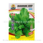 批发供应蔬菜种子大叶茼蒿种子家庭阳台蔬菜种子
