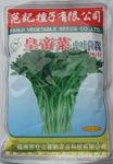 批发蔬菜种子范记皇帝菜种子中叶茼蒿种子813特色蔬菜种子