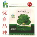 闽蔬批发蔬菜种子大叶木耳菜种子圆叶高产中晚熟 基地专供
