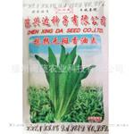 批发供应高产抗热无斑香油麦菜种子 高产蔬菜种子 基地专用热卖