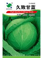 久致甘蓝——甘蓝