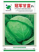 冠军甘蓝F1——甘蓝