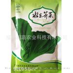 批发蔬菜种子 正宗水东芥菜种子 优质品种200克克菜农专供 热卖