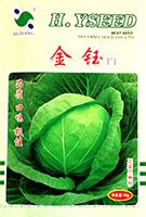 　金钰——甘蓝