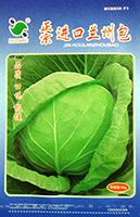 进口兰州包——甘蓝