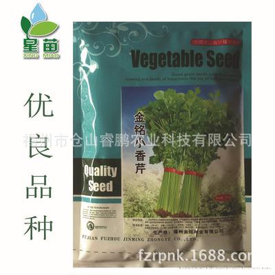 批发供应蔬菜种子 金铭小香芹 芹菜种子小株型 嫩黄味香专业种植