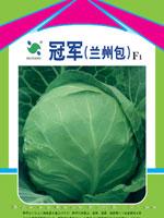 冠军——甘蓝