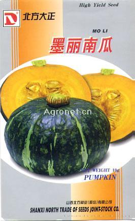 供应墨丽南瓜—南瓜种子