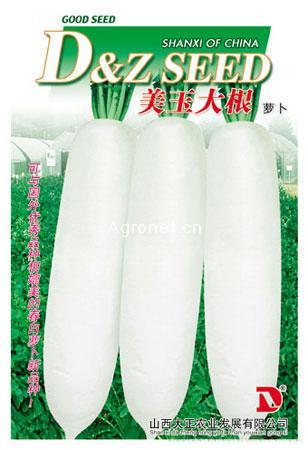 供应美玉大根—萝卜种子