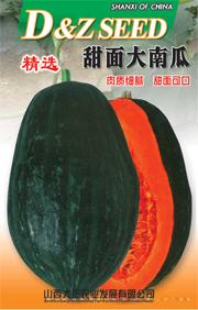 供应南瓜种子--甜面大南瓜