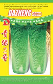 供应白菜种子--青绿二号